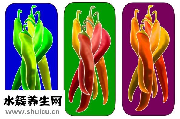 怎樣喝三七粉正確