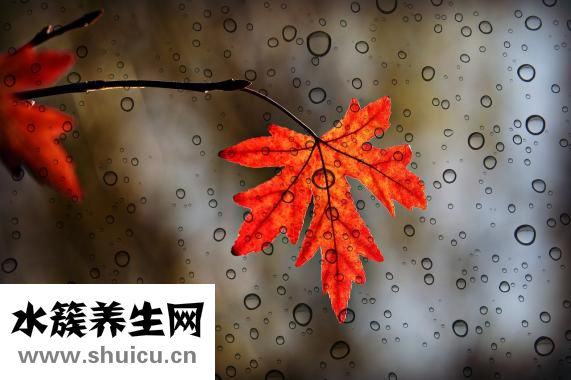 上火會引起痔瘡嗎