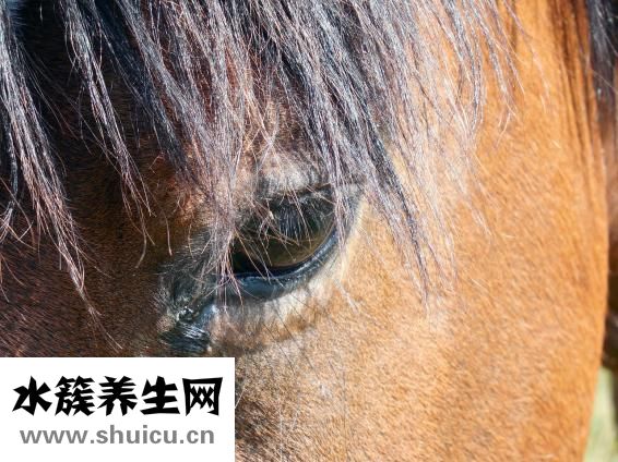 小孩半夜流鼻血