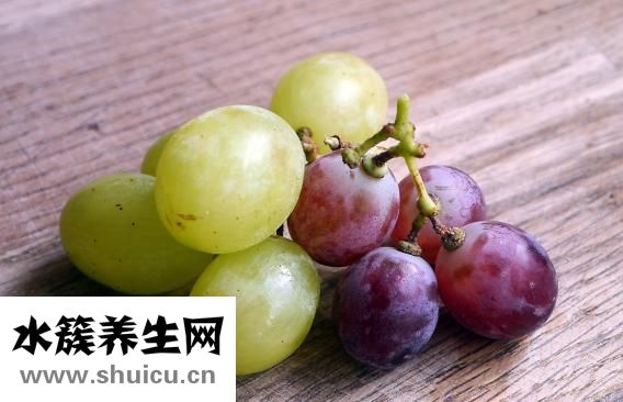 孕婦能吃栗子嗎