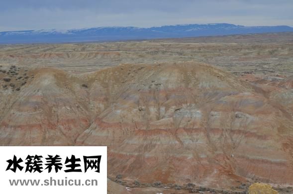 頭孢一天吃幾次