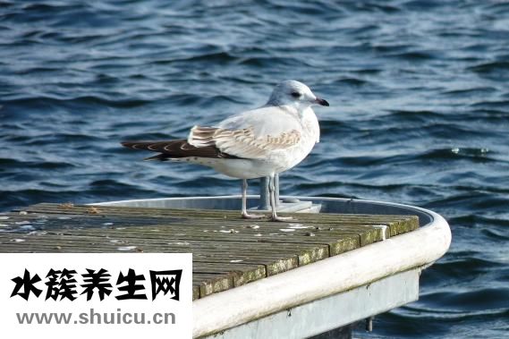 右手發麻是什么原因