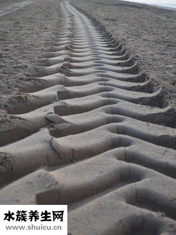 無(wú)痕雙眼皮手術(shù)