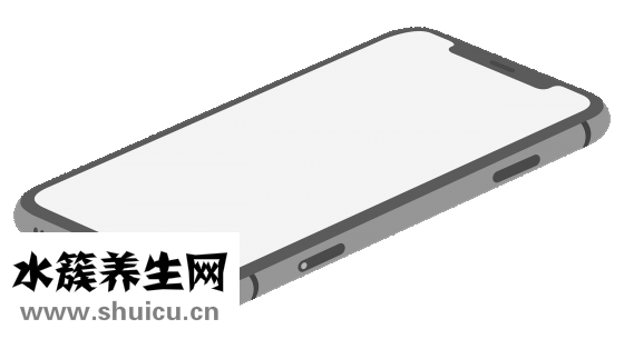 五臟六腑的功能