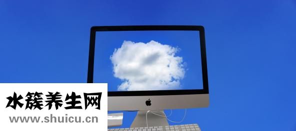 亞胺培南西司他丁