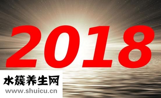 手背有痣的女人