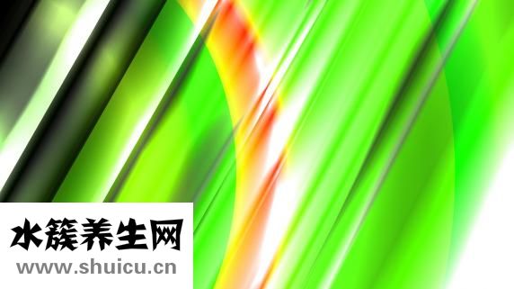 孕婦能吃面包嗎