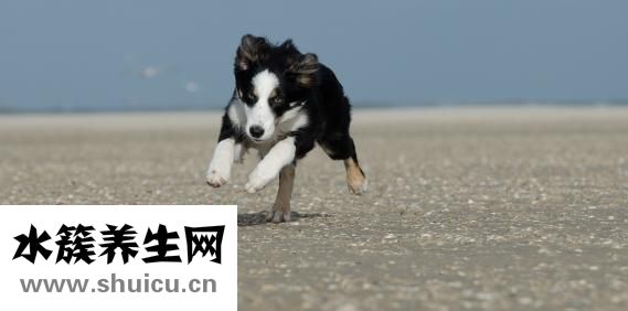 喜歡自言自語(yǔ)