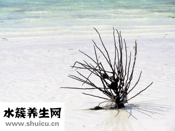 子宮脫垂的原因