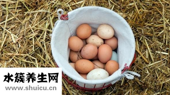 怎樣腌制咸雞蛋