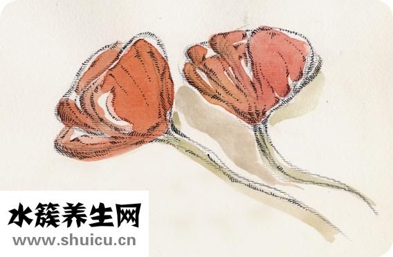 孕婦可以吃辣嗎