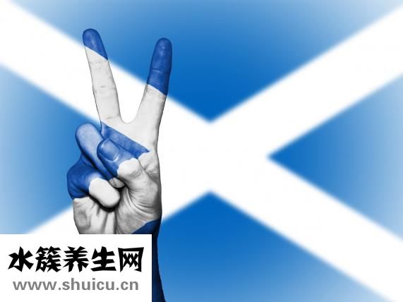 人體器官示意圖