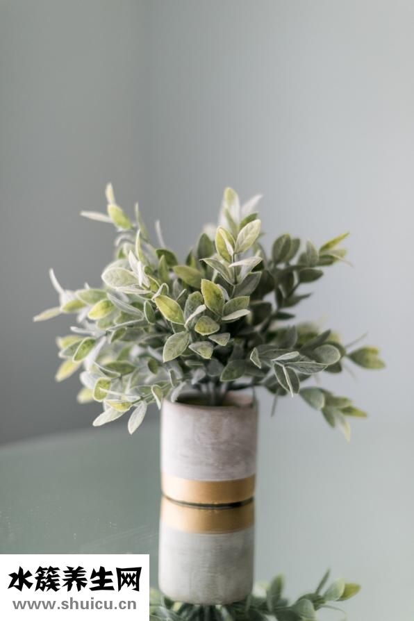 世界上最大的黑頭