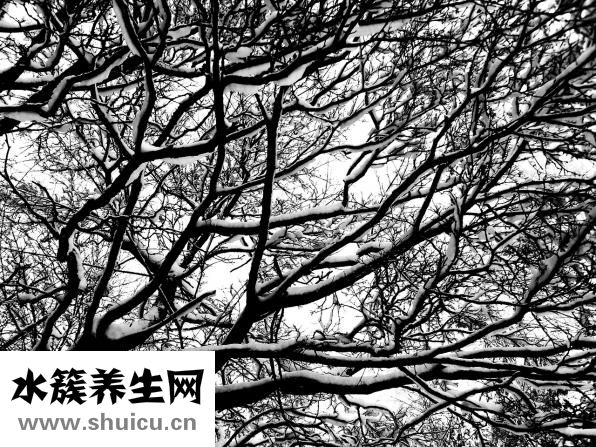 怎么樣生發(fā)