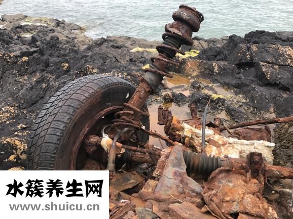 土豆?fàn)I養(yǎng)成分