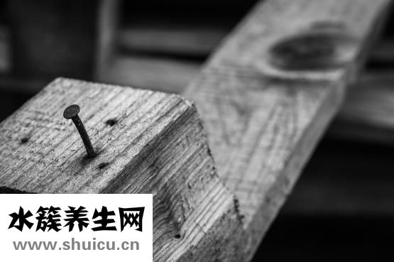 小米粒丘疹圖片