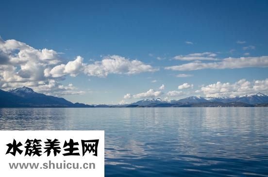 哺乳期能吃海參嗎