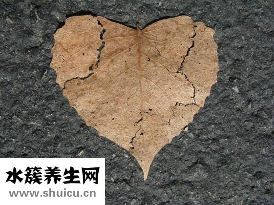 為什么會骨質增生