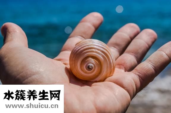 手掌有紅點(diǎn)