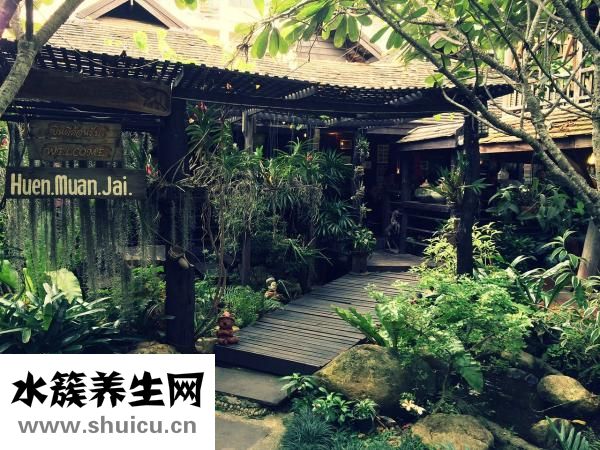 孕婦可以吃枸杞葉嗎