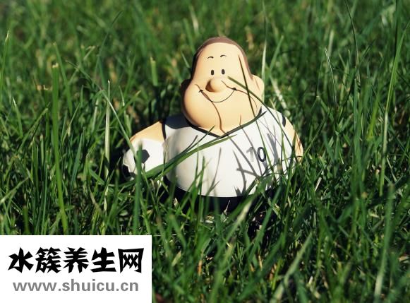 失眠多夢怎么調理