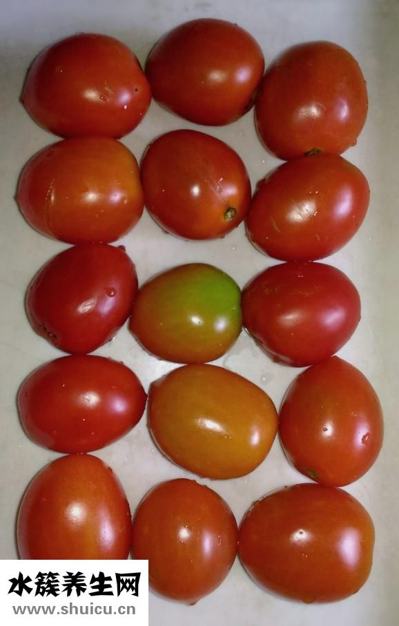 土豆是根還是莖