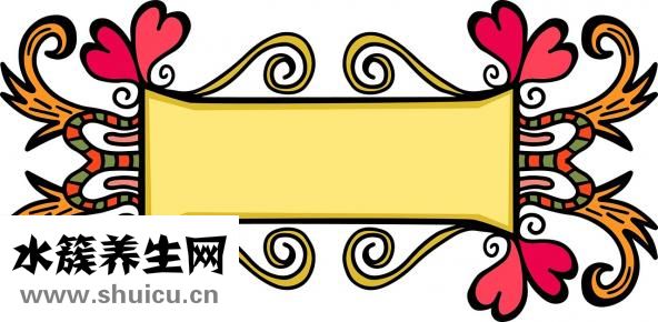 晚上可以吃紅薯嗎