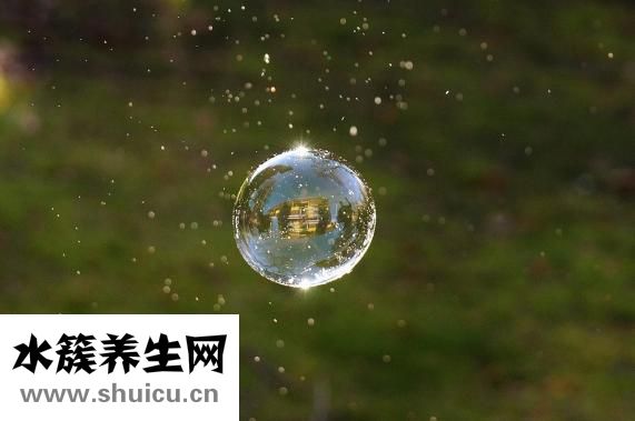 怎樣判斷是過敏