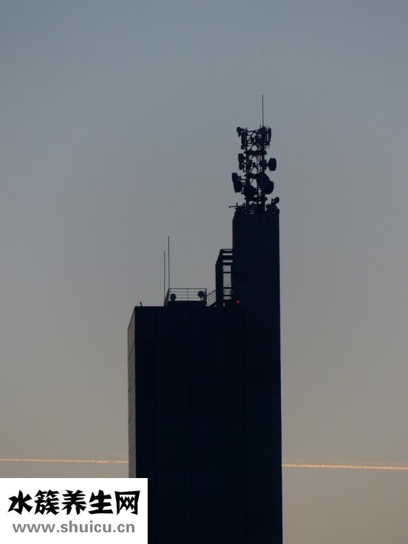 什么樣的人著床晚