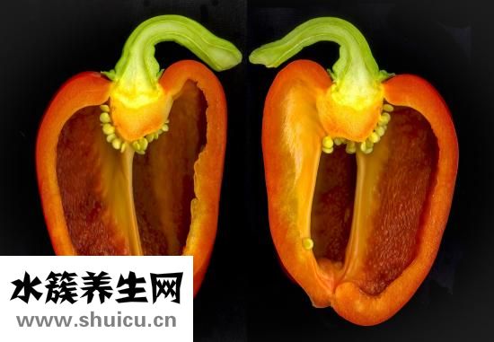 減肥可以吃魚肉嗎