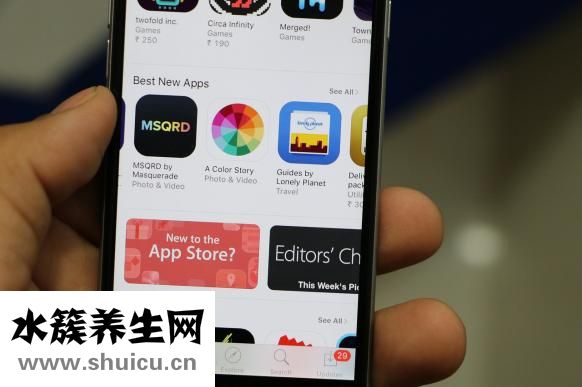 天麻價格多少錢一斤