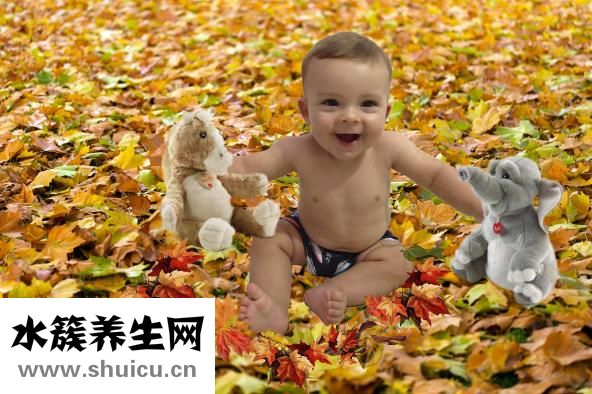 孕婦能喝菊花茶