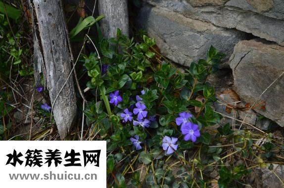 抬頭紋如何去除