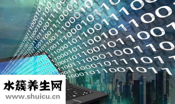 天麻價格多少錢一斤