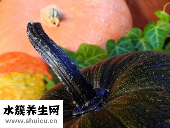 晚上吃什么不長肉