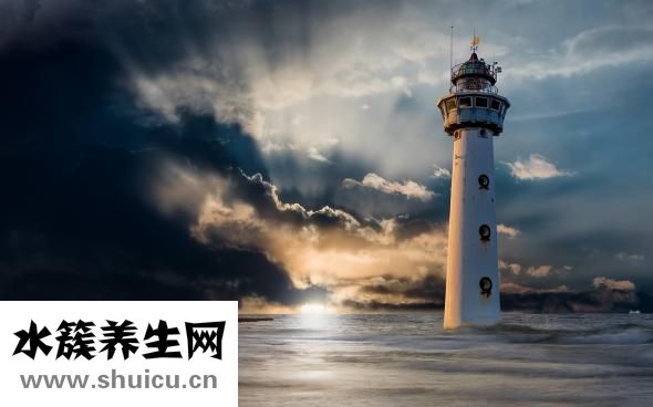 托槽掉了怎么辦