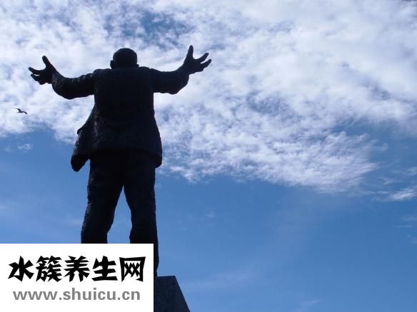 怎樣自學(xué)針灸