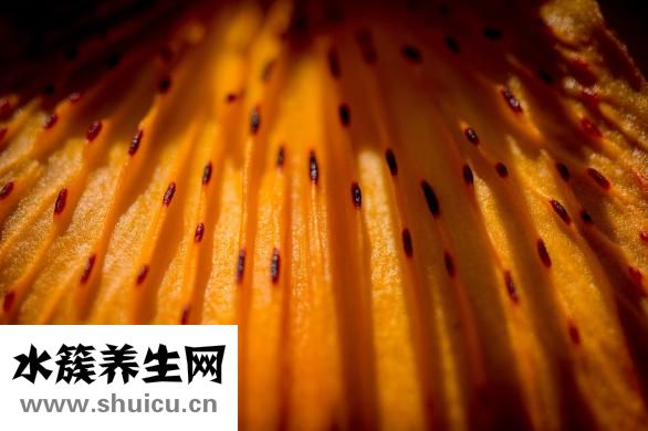 怎樣自學(xué)針灸