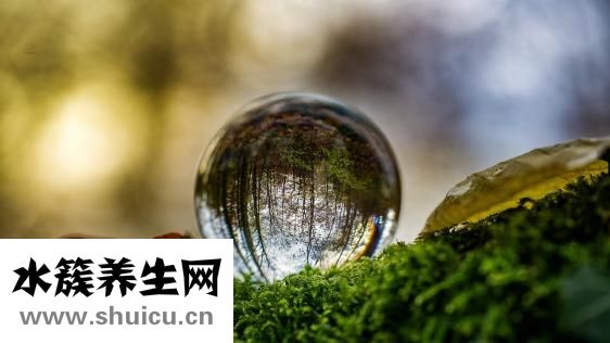 托槽掉了怎么辦