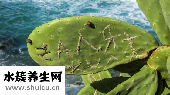 土豆燒牛肉怎么做