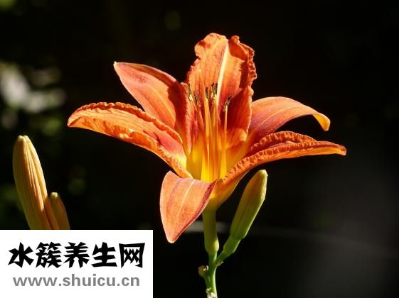 怎么讓例假快點來