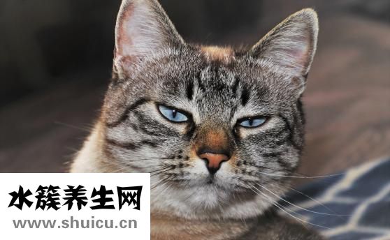 右手小拇指發麻