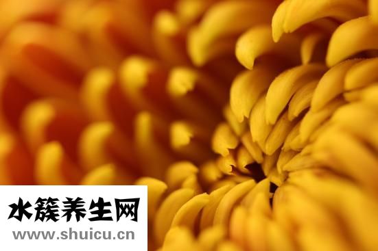 早上喝黑咖啡的好處