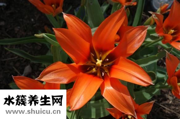 右手小拇指發麻