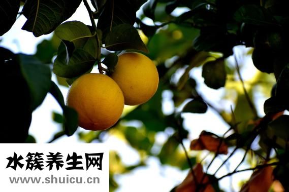 怎么才能不長(zhǎng)胡子