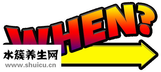 孕婦羊水少怎么辦