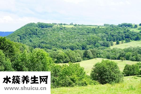 孕婦白蛋白偏低