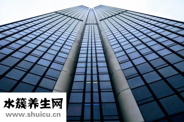 四維彩超預約流程