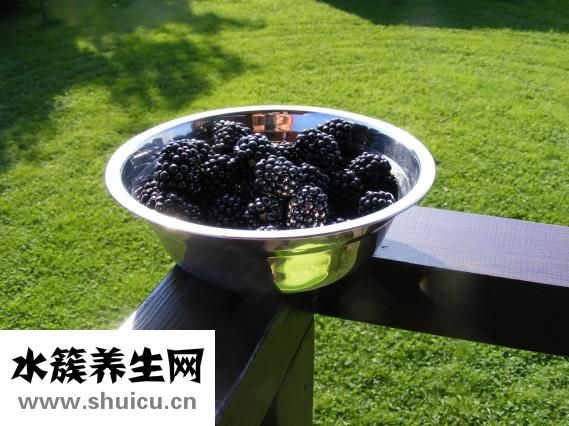 孕婦能喝紅棗水嗎