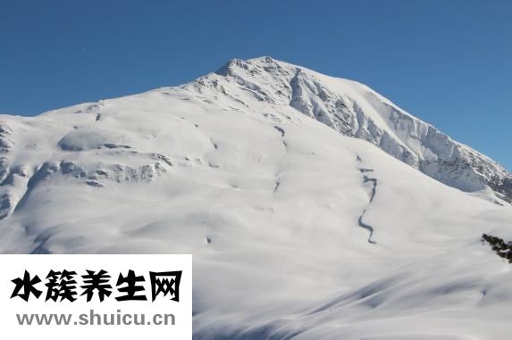 手術(shù)全過程